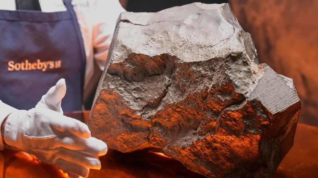 The largest Martian met stone gets over 4.3 million euros at auction, but young dinosaurs steal the show