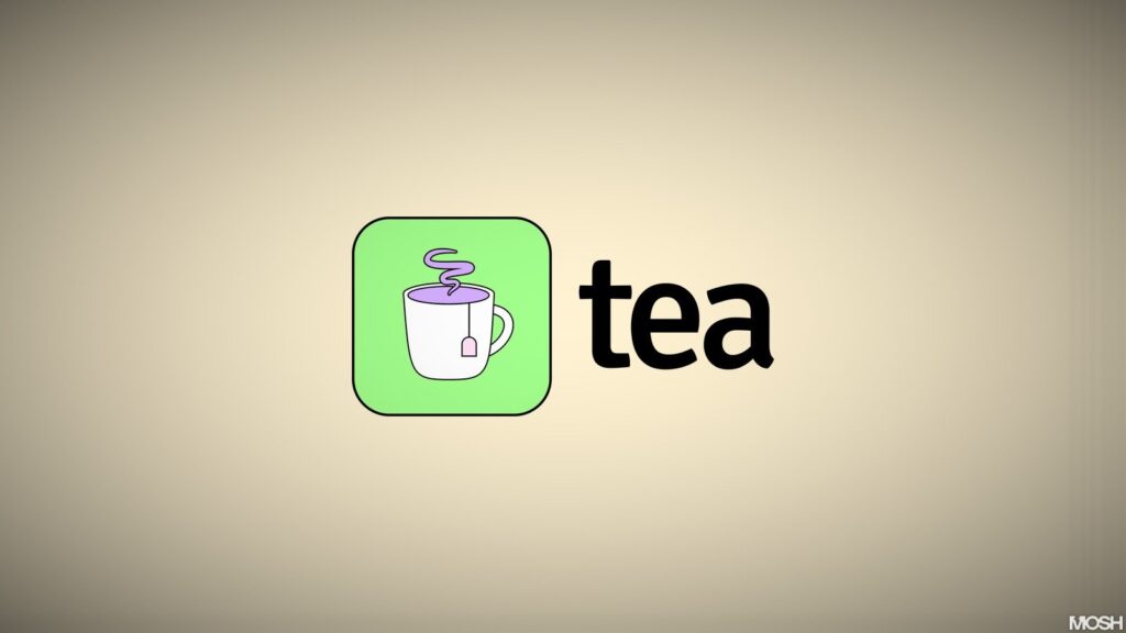 TEA app leaks worsen when the second database publishes user chat