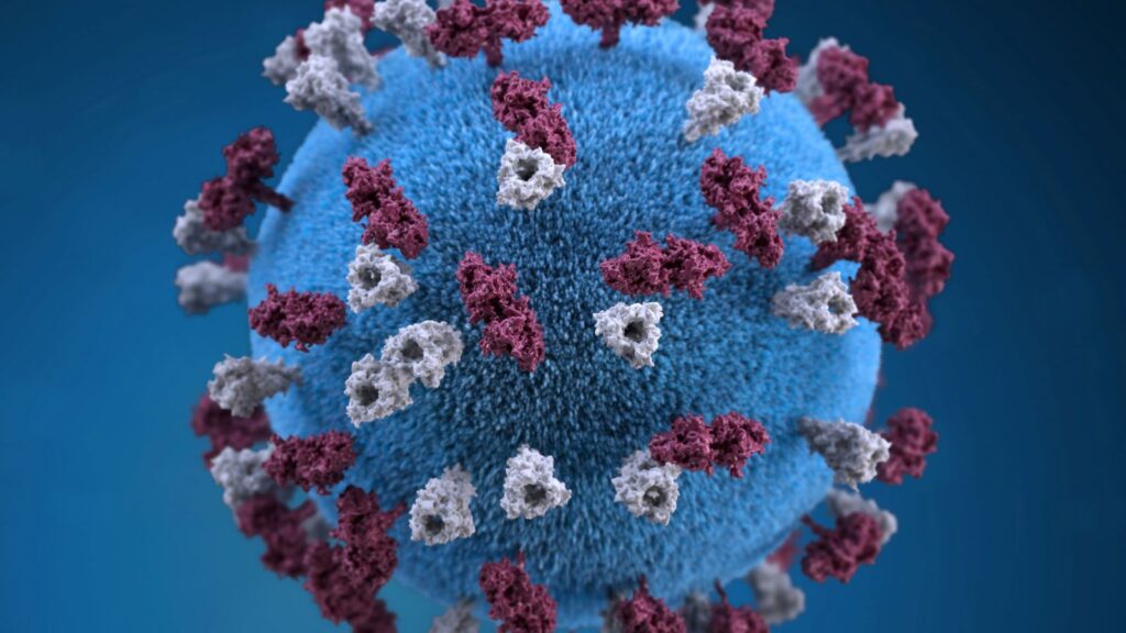 Children’s vaccination rates have been the lowest rating in over 10 years – why?